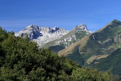 Click per ingrandire la foto